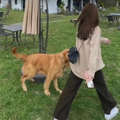 信访局长